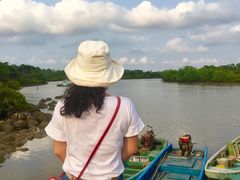 -东寨港红树林旅游区