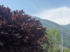 -少华山国家森林公园