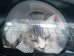 -荔康动物医院(康王北路店)