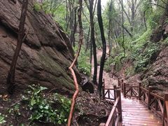 -大岭沟猕猴桃谷风景区