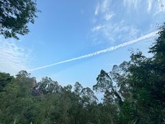 -火炉山森林公园