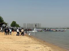 -瑶湖郊野森林公园