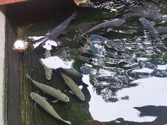-侠成水上农庄(工业大道店)