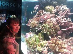 -暹罗海洋世界
