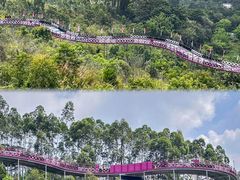 -盈香心动乐园