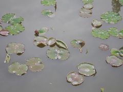 -丝绸小镇荻港古村