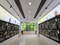 -翊宠yipet猫狗购宠庄园犬舍•猫舍