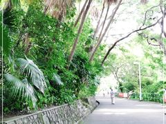 -中山公园(石岐街道)