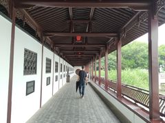 -无锡蠡湖国家湿地公园-蠡园