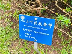 -中国科学院西双版纳热带植物园