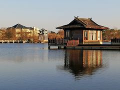 -杭州湾海上花田景区