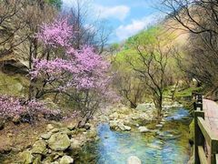-少华山国家森林公园