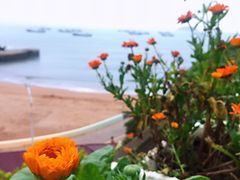 -枸杞岛