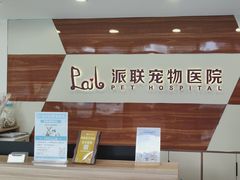 -派联宠物医院·24h·CT·异宠