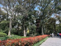 -阿育王寺