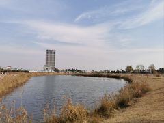 -鹦鹉洲湿地公园