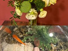 -清真·龙猫食堂(詹滨西里店)