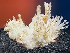 -山东博物馆