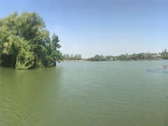 -陈记锅盖面(长江路店)