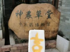 -广州神农草堂中医药博物馆