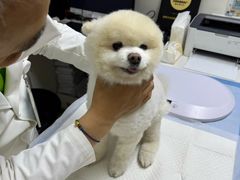 -美联众合动物医院·24h转诊中心