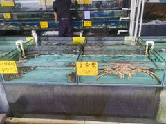 -海精英海鲜世界(台海路店)