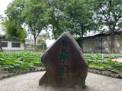 -绍兴鲁迅故里·沈园景区