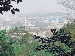 -紫金山山顶公园