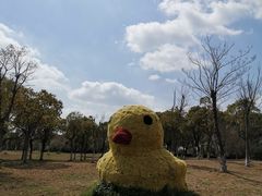 -上海都市菜园