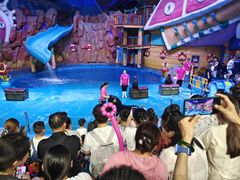 -烟台海昌鲸鲨海洋公园