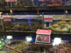 水产区-欢乐海岸美食联盟