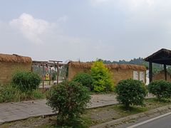 -夏河溪乡野公园