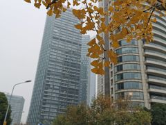 -花旗集团大厦