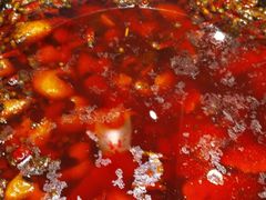 -佬缸炮江湖川菜(玉林店)