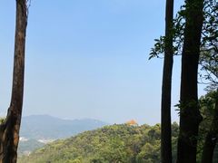 -广州市帽峰山景区