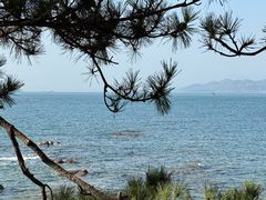 -青岛第一海水浴场