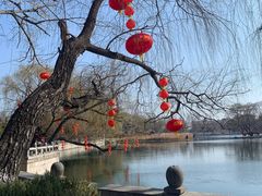 -百脉泉景区