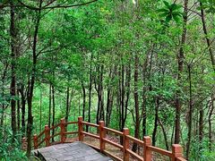 -广州白江湖森林公园