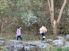 -味多美蛋糕(安定门店)