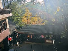 -青城山