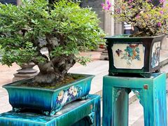 -陈家祠堂-游客中心