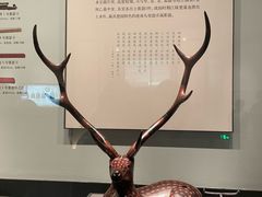 -湖北省博物馆