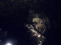 -西北湖绿化广场