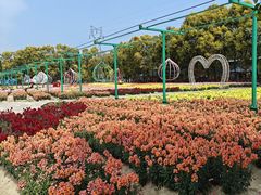 -广东花都香草世界旅游度假区