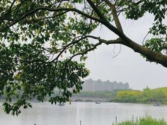 -昆山城市生态森林公园