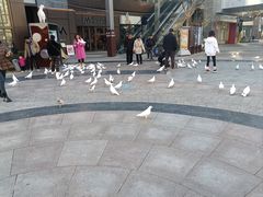 -中粮·祥云小镇