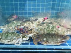 -宾朋海鲜特色美食餐厅·纯手工鲅鱼水饺(兴海路店)