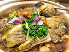 -朱记乳鸽王·非遗石岐乳鸽·全鸽宴(大兴旗舰店)