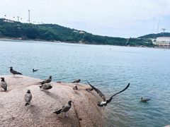 -摩天岭风景区