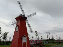 -洪湖湿地生态园